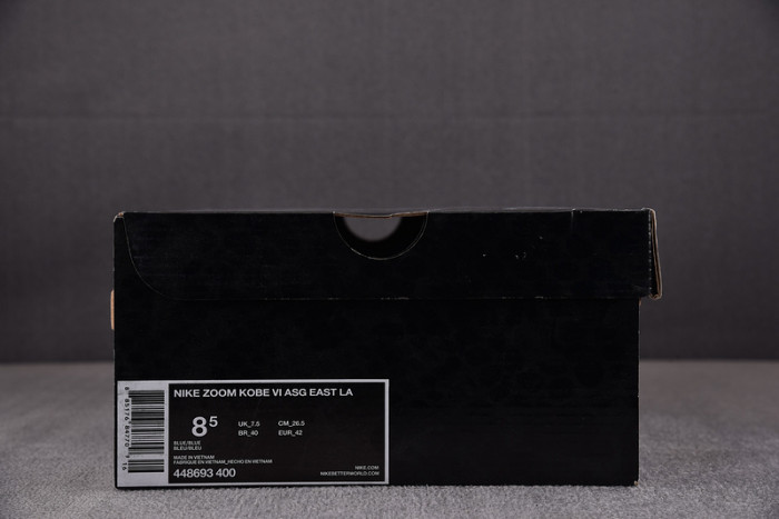 nike zoom kobe 6 “asg east la" 448693-400